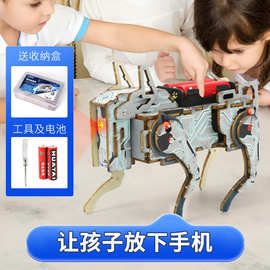 湖北机器人 科教玩具的创新先锋，启迪未来科技梦想